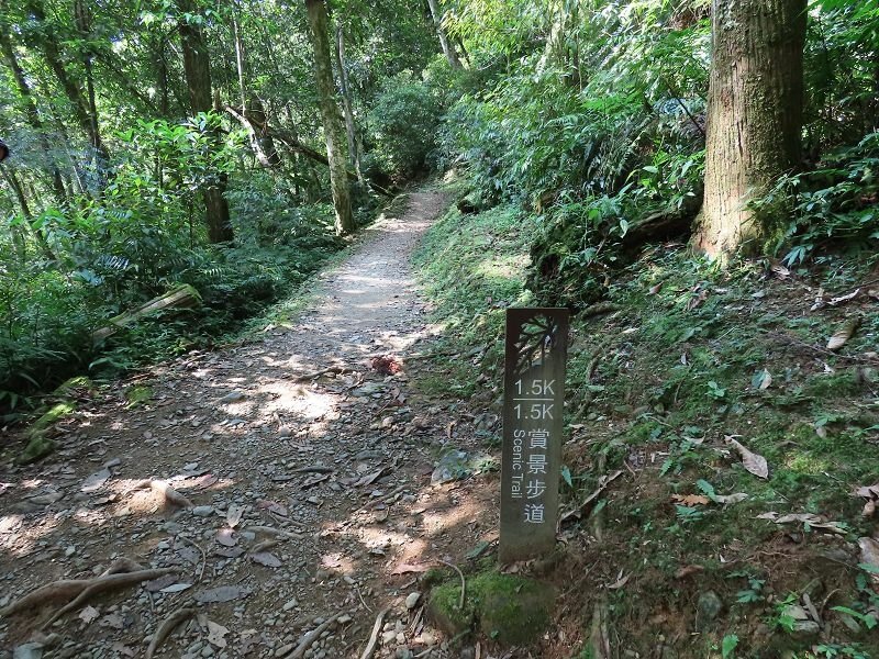 2022-07-23 14-54-52(001).jpg - 20220723_烏來_內洞森林遊樂區_賞景步道