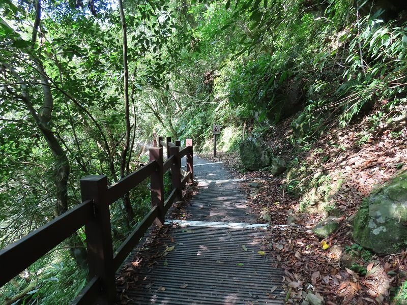 2022-07-23 15-00-28(001).jpg - 20220723_烏來_內洞森林遊樂區_賞景步道