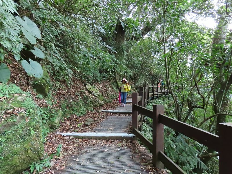 2022-07-23 15-00-45(001).jpg - 20220723_烏來_內洞森林遊樂區_賞景步道