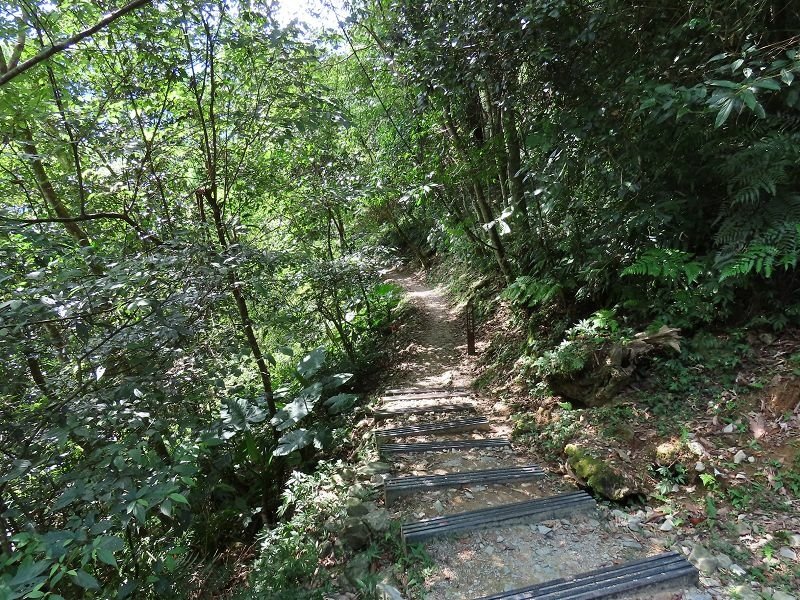 2022-07-23 15-10-23(001).jpg - 20220723_烏來_內洞森林遊樂區_賞景步道