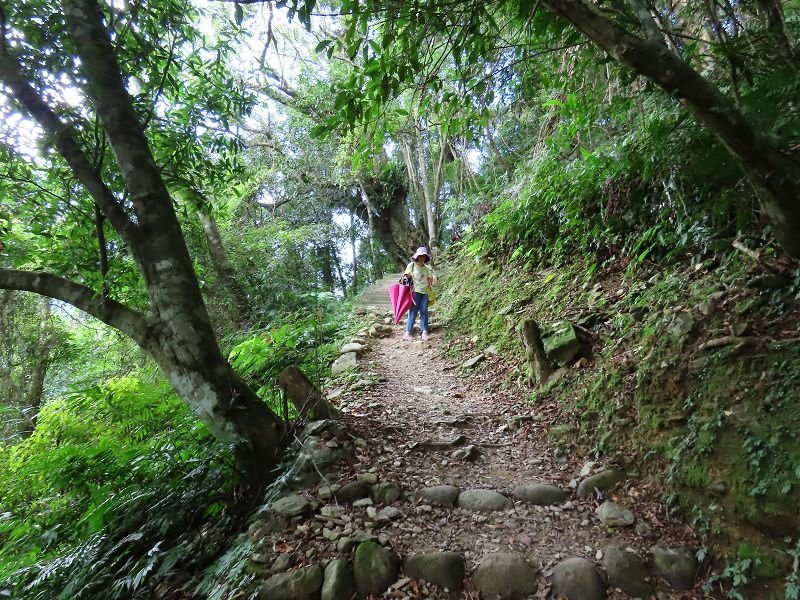 2022-07-23 15-16-54(001).jpg - 20220723_烏來_內洞森林遊樂區_賞景步道