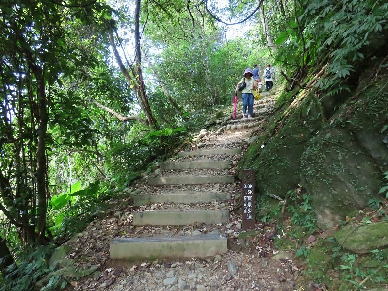 2022-07-23 15-20-28(001).jpg - 20220723_烏來_內洞森林遊樂區_賞景步道