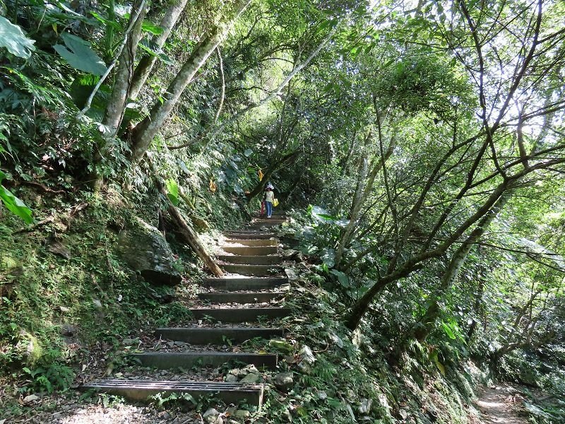 2022-07-23 15-25-12(001).jpg - 20220723_烏來_內洞森林遊樂區_賞景步道