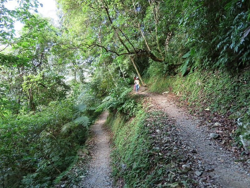 2022-07-23 15-29-26(001).jpg - 20220723_烏來_內洞森林遊樂區_賞景步道