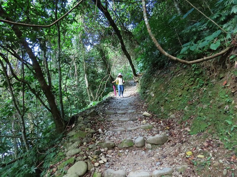 2022-07-23 15-40-48(001).jpg - 20220723_烏來_內洞森林遊樂區_賞景步道
