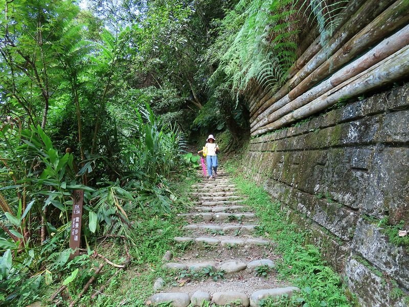 2022-07-23 15-42-27(001).jpg - 20220723_烏來_內洞森林遊樂區_賞景步道