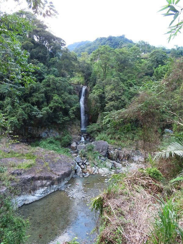 2022-07-23 15-44-00(001).jpg - 20220723_烏來_內洞森林遊樂區_賞景步道