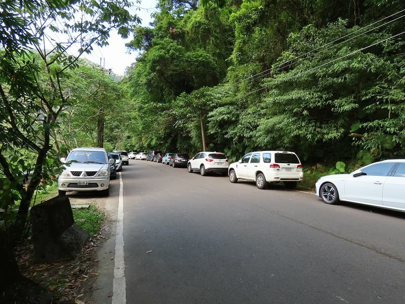 2022-07-23 15-59-57(001).jpg - 20220723_烏來_內洞森林遊樂區_賞景步道