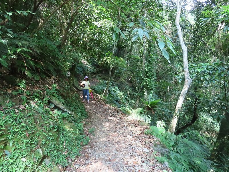 2022-07-23 15-07-38(001).jpg - 20220723_烏來_內洞森林遊樂區_賞景步道