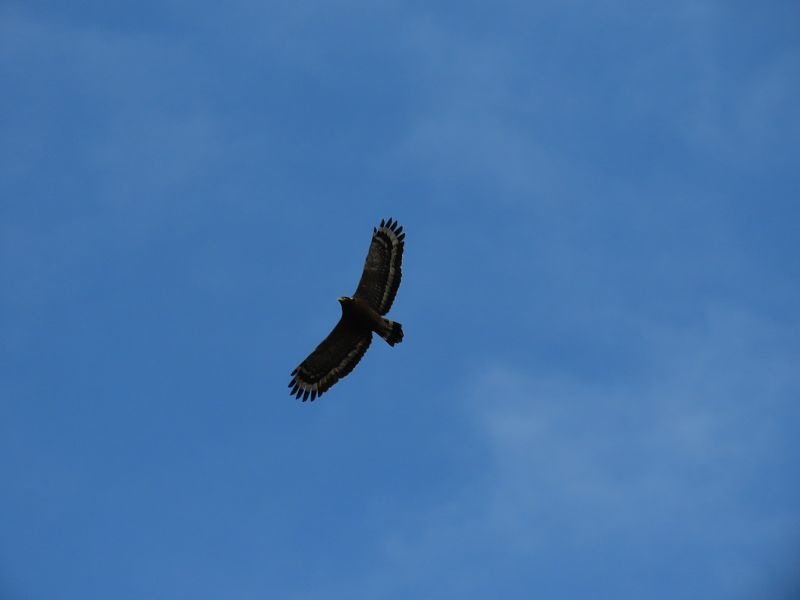 IMG_9450(001).jpg - 20220227_南港_山水綠生態公園