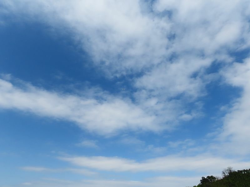 IMG_9460(001).jpg - 20220227_南港_山水綠生態公園
