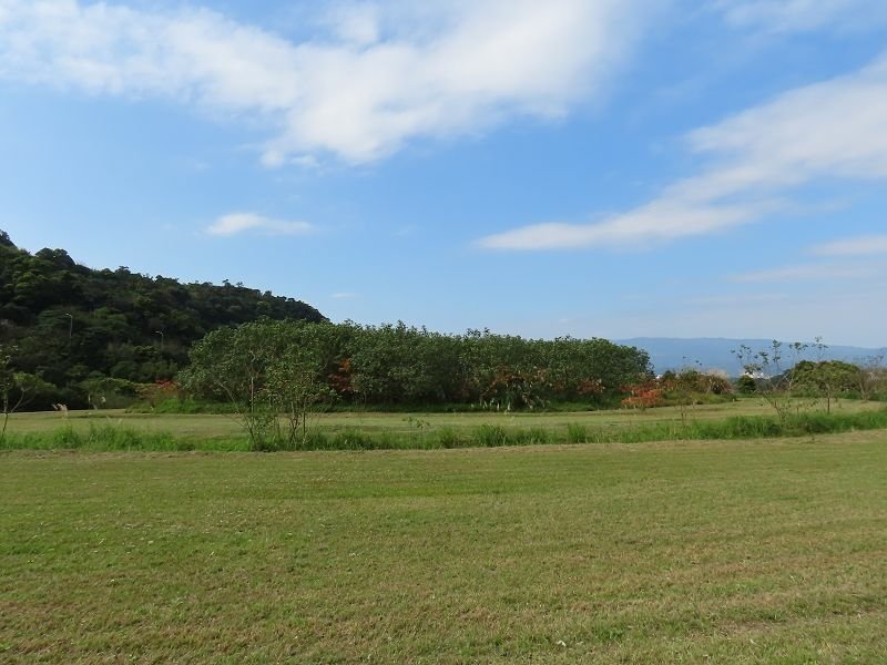 IMG_9482(001).jpg - 20220227_南港_山水綠生態公園