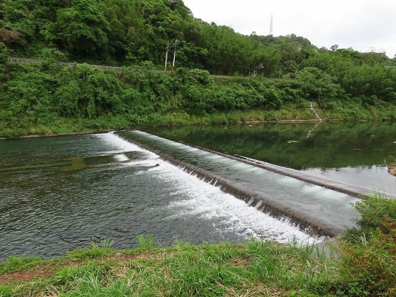 2021-04-25 13-22-18(001).jpg - 20210425_坪林_親水步道