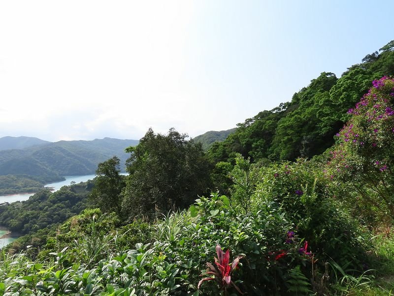2021-04-11 14-54-46(001).jpg - 20210411_石碇_千島湖