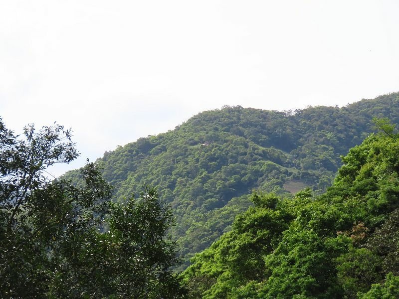 2021-04-11 14-54-54(001).jpg - 20210411_石碇_千島湖
