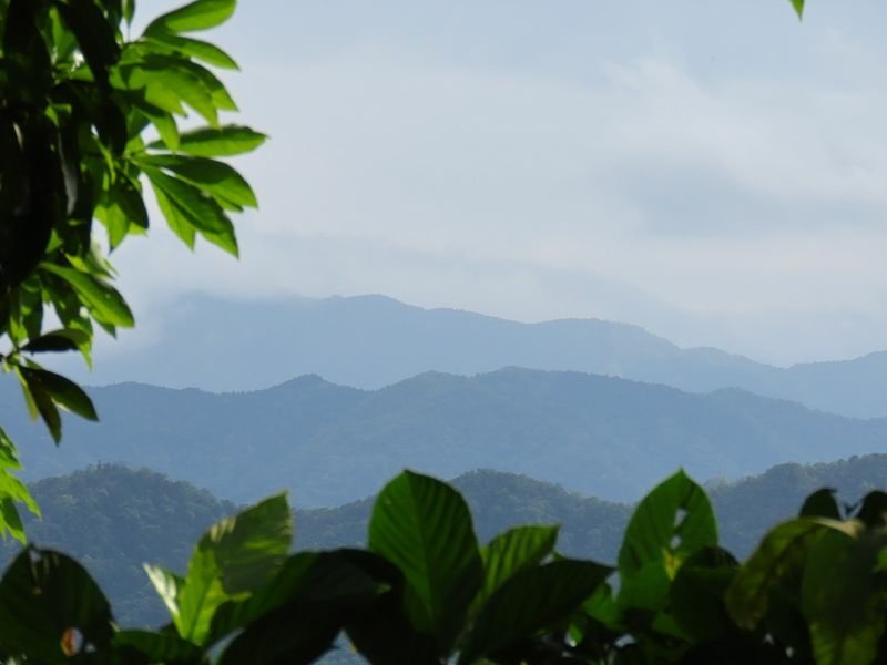 2021-04-11 15-01-58(001).jpg - 20210411_石碇_千島湖