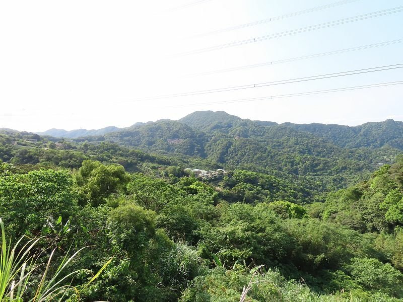 2021-04-11 15-15-34(001).jpg - 20210411_石碇_千島湖