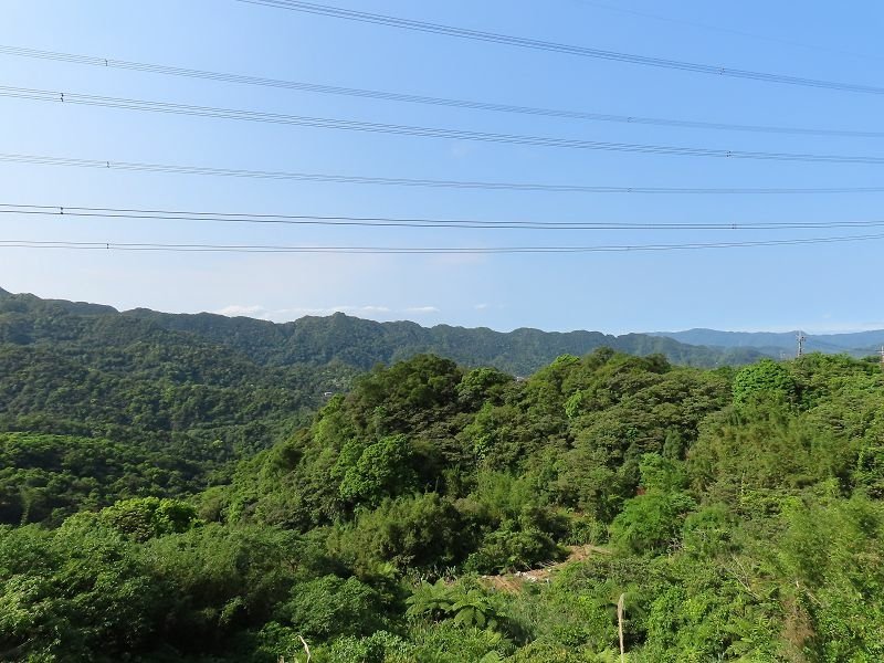 2021-04-11 15-15-52(001).jpg - 20210411_石碇_二格山