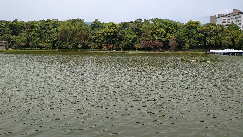 IMG_20210330_115325(001).jpg - 20210330_內湖_碧湖公園