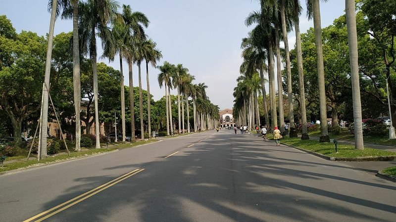 IMG_20210320_140553(001).jpg - 20210320_公館_台灣大學_杜鵑花節