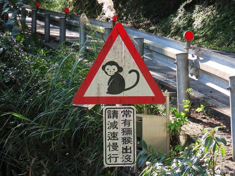 IMG_2316(001).jpg - 20210131_石碇_淡蘭吊橋