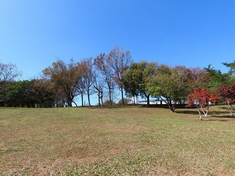 2020-12-26 13-10-57(001).jpg - 20201226_台中_台中都會公園