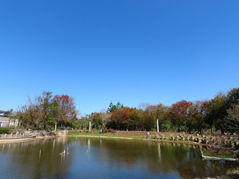 2020-12-26 13-17-31(001).jpg - 20201226_台中_台中都會公園