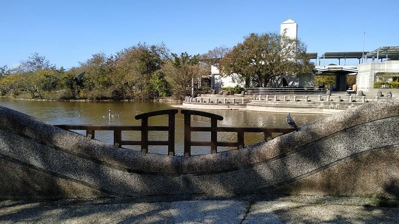 2020-12-26 13-17-58(001).jpg - 20201226_台中_台中都會公園