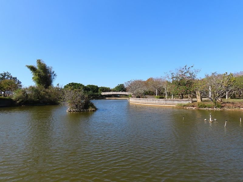 2020-12-26 13-23-55(001).jpg - 20201226_台中_台中都會公園