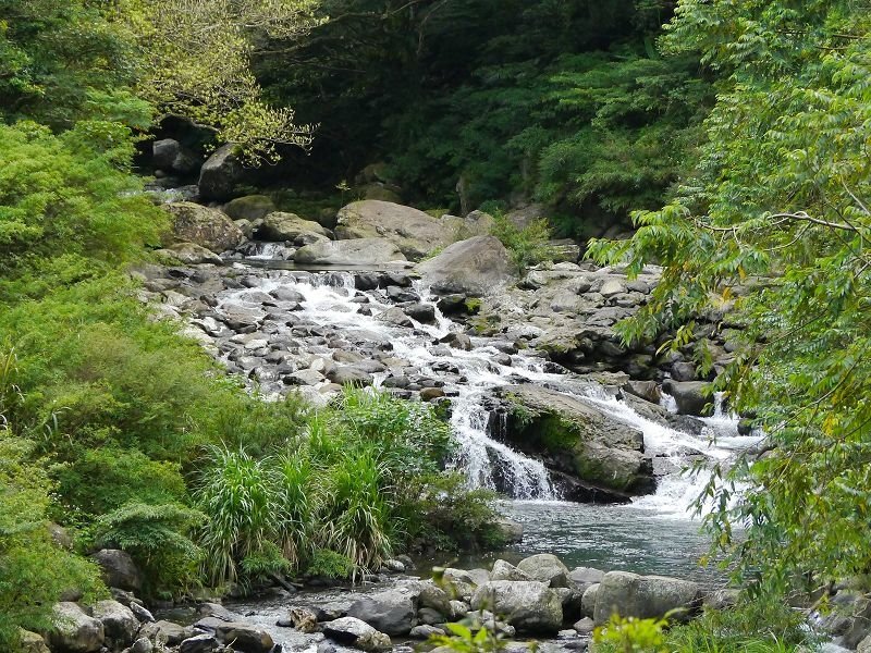 2020-10-03 13-50-14(001).jpg - 20201003_三峽_滿月圓_蚋仔溪生態步道