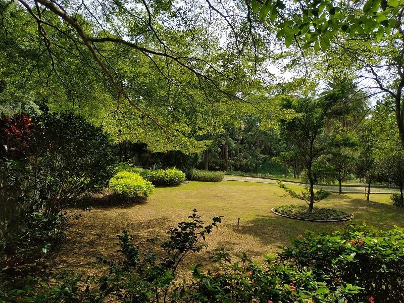 2020-09-12 14-19-45(001).jpg - 20200912_通霄_上田咖啡莊園
