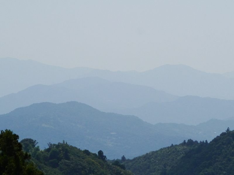 2020-09-06 13-50-55(001).jpg - 20200906_坪林_獅公髻尾山