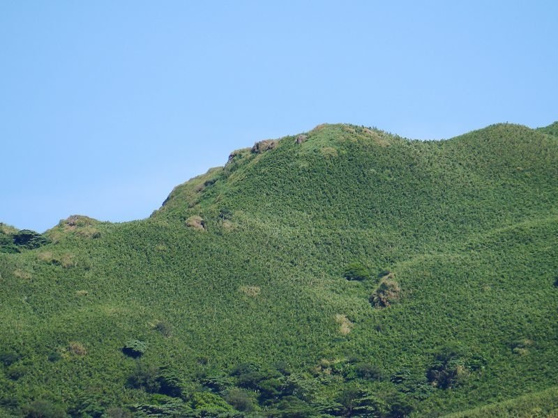 2020-08-01 15-23-51(001).jpg - 20200801_陽明山_陽明山竹子湖
