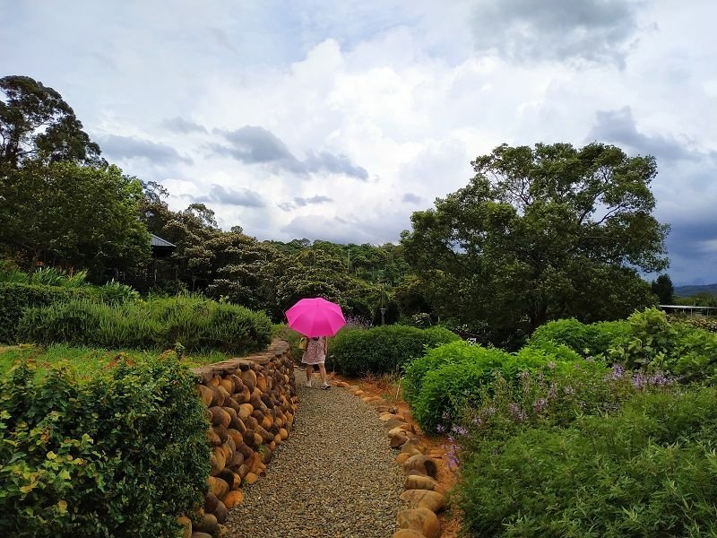 2020-06-06 14-45-35(001).jpg - 20200606_新埔_雲夢山丘_香草植物農園