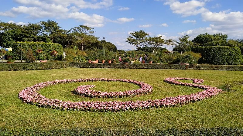 2019-12-08 13-52-32(001).jpg - 20191208_台北市_花博公園_新生園區