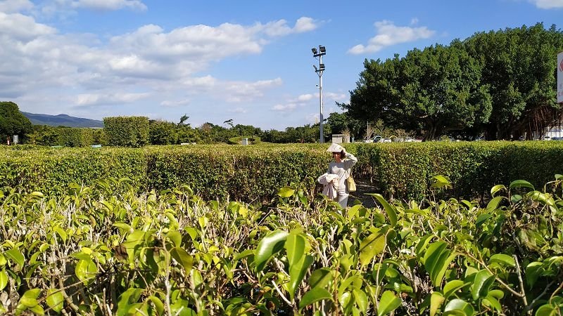 2019-12-08 14-02-09(001).jpg - 20191208_台北市_花博公園_新生園區