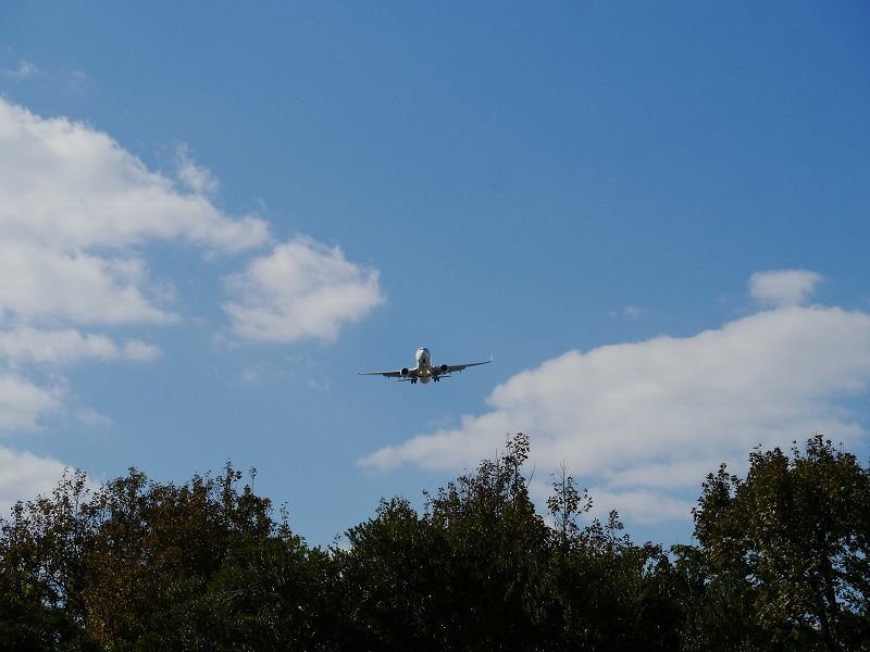 2019-12-08 12-59-02(001).jpg - 20191208_台北市_花博公園_圓山園區_市民農場