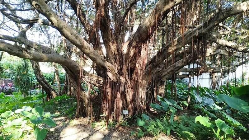 2019-12-08 13-47-40(001).jpg - 20191208_台北市_花博公園_圓山園區_市民農場