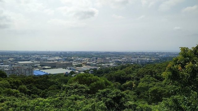 IMG_20190511_142634(001).jpg - 20190511_桃園_五酒桶山步道