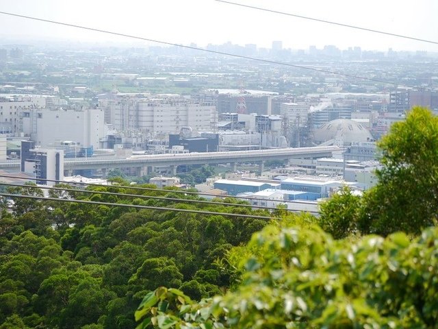 P1340635(001).jpg - 20190511_桃園_五酒桶山步道