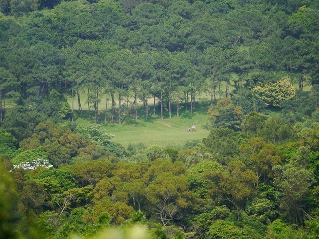 P1340636(001).jpg - 20190511_桃園_五酒桶山步道