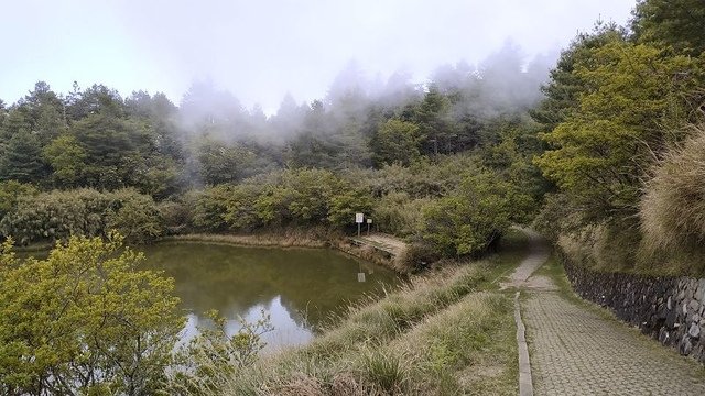 2019-04-26 12-40-40(001).jpg - 20190426_台中_大雪山森林遊樂區_天池
