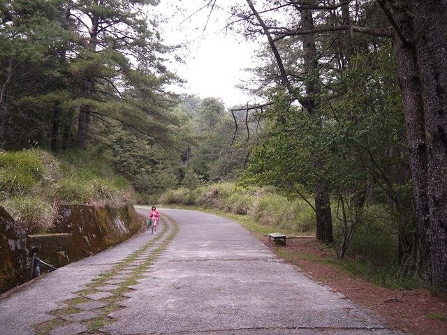 2019-04-26 13-17-21(001).jpg - 20190426_台中_大雪山森林遊樂區_雪山神木