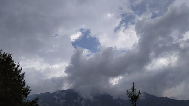 2019-04-26 14-38-14(001).jpg - 20190426_台中_大雪山森林遊樂區_雪山神木