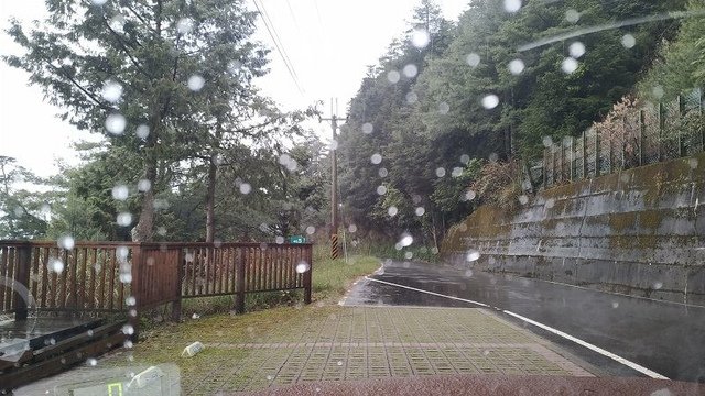 2019-04-26 14-38-42(001).jpg - 20190426_台中_大雪山森林遊樂區_雪山神木