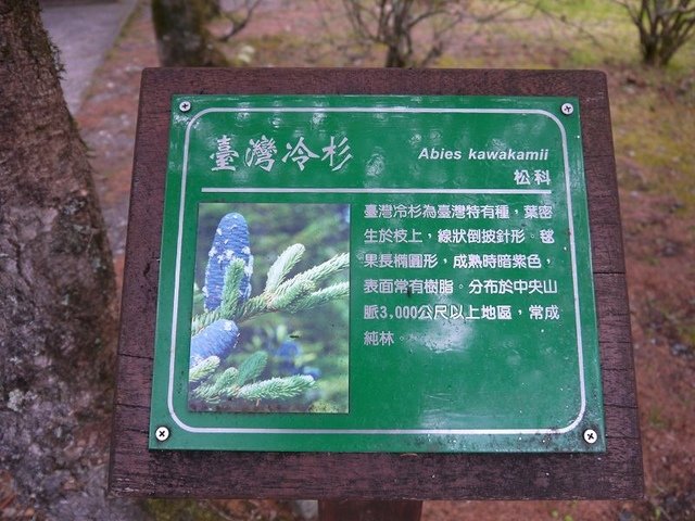 2019-04-26 12-27-08(001).jpg - 20190426_台中_大雪山森林遊樂區_天池