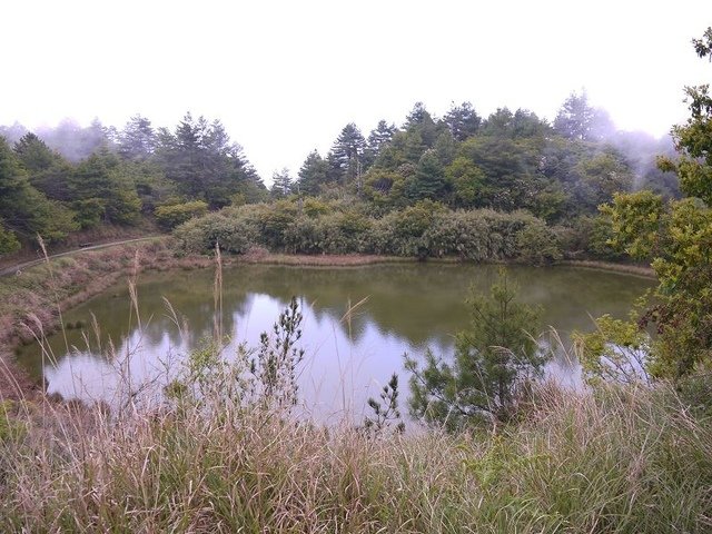 2019-04-26 12-43-06(001).jpg - 20190426_台中_大雪山森林遊樂區_天池