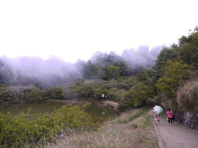 2019-04-26 12-43-18(001).jpg - 20190426_台中_大雪山森林遊樂區_天池