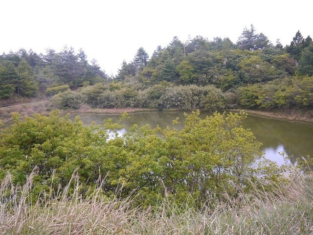 2019-04-26 12-43-52(001).jpg - 20190426_台中_大雪山森林遊樂區_天池
