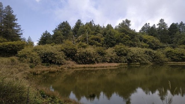 2019-04-26 12-47-50(001).jpg - 20190426_台中_大雪山森林遊樂區_天池